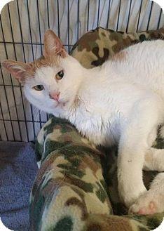 Whitey (16746246)