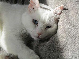 Whitey (18721976)
