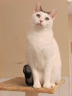 Wiley (11919080)