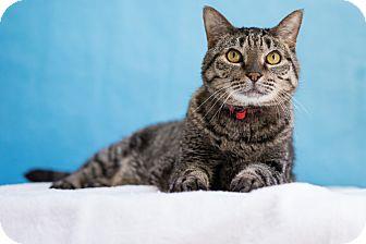 William (12284763)