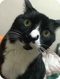 Willie (14461131)