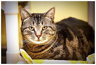 Willy (10029634)