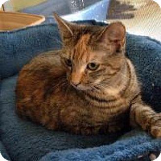 wilma (13493132)