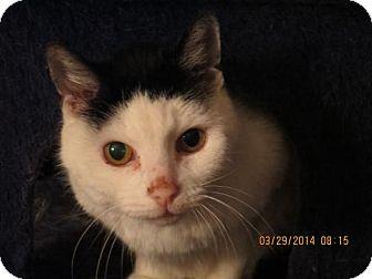 Wilma (17146273)