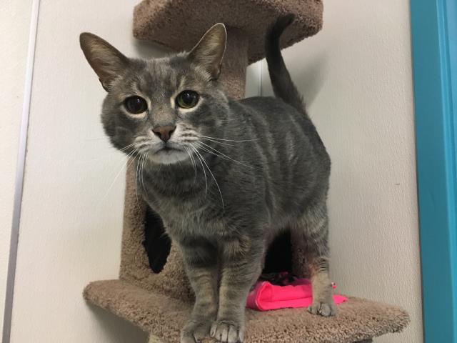 WILSON (A137935)