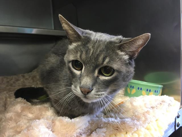 WILSON (A137935)