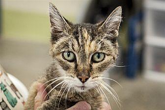 Winifred (fi (20118978)