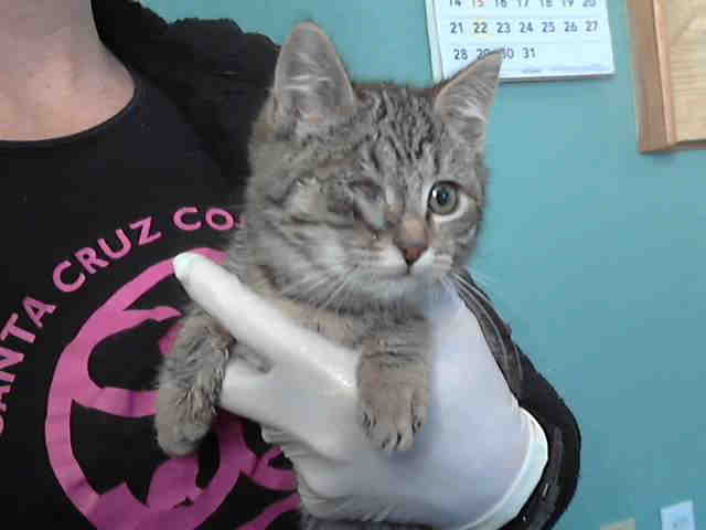 WINKY* (A243339)