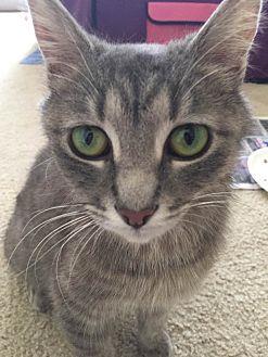 Winnie – Bar (20106893)