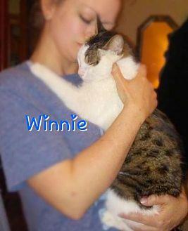 Winnie (Egyp (18187442)