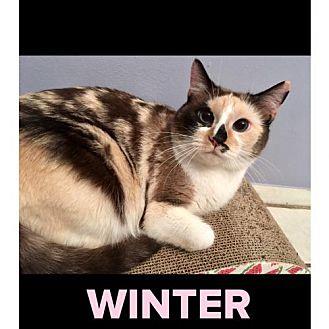 Winter (20403989)
