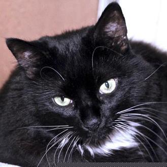 Zena (20173178)