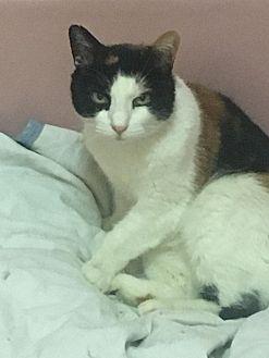 Zena (20585485)