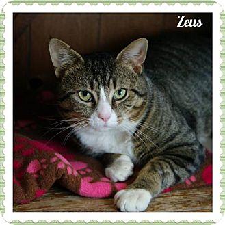 Zeus (15068939)