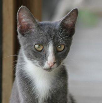 Ziggy (20175680)