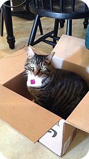 Zoey (15486297)