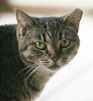 Zoey (19560692)