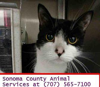 ZOEY – ID#A3 (20363438)