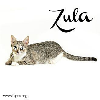 Zula (20302731)
