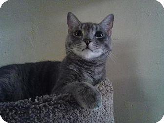 zz URGENT – (17191346)