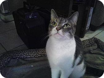 zz URGENT – (17191348)
