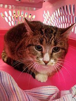 Abby (20700587)