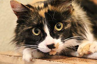 Abby Pants (20675700)