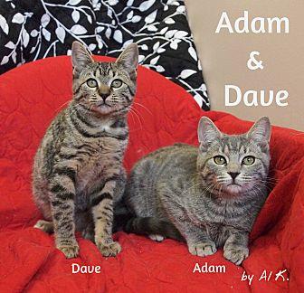 Adam (20591679)