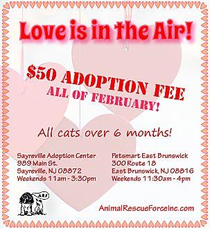 Adoption Eve (20710537)