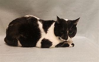 Agatha (20700463)
