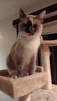 Aggie (20528153)