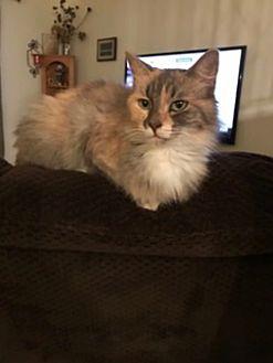 Agnes (20778539)