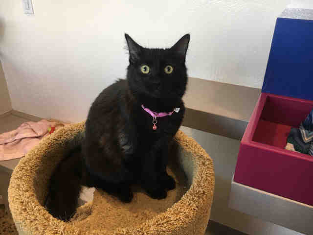 ALEX (A178420)