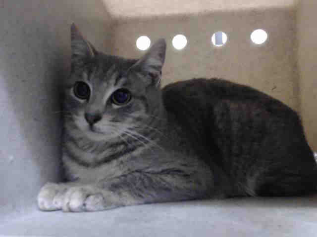 ALEX (A543798)