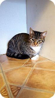 Alfie (17359325)