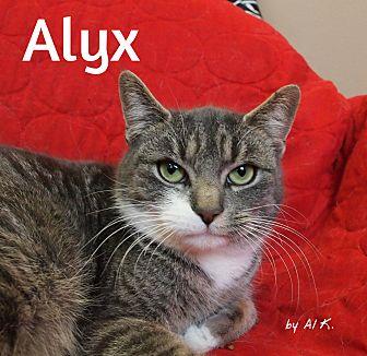 Alyx (20513548)