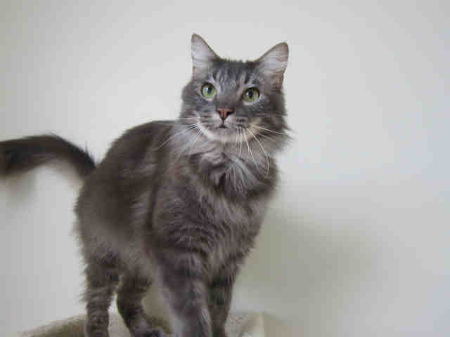 ANNIE (A1069860)