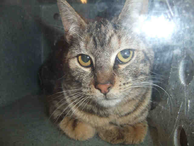 APRIL (A105531)