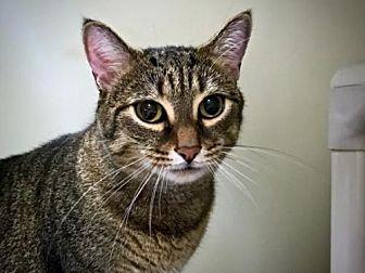 Archie (20537845)