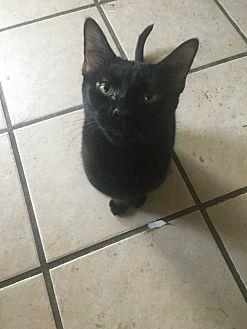 Artemis (20572750)