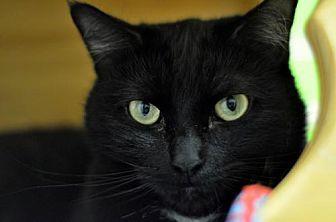 Asher (20110744)