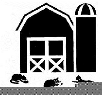 Barn Cats (16974409)