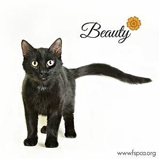 Beauty (20302740)