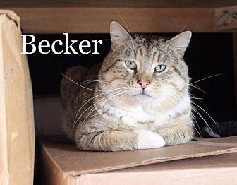 Becker (20780540)
