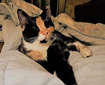 Belle (16323079)