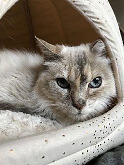 Belle (20654545)