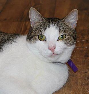 Bennie (20484697)