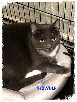 Beowulf (20662761)