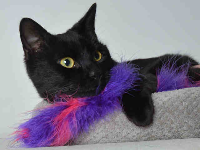 BERNADETTE (A168572)