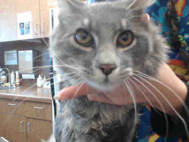 BERNIE (A544478)
